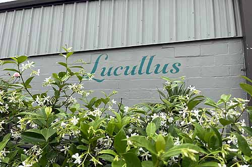 Lucullus Antiques Building Sign